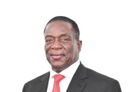 Emmerson Mnangagwa, President of Zimbabwe
