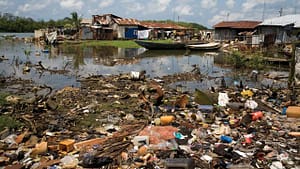 Pollution